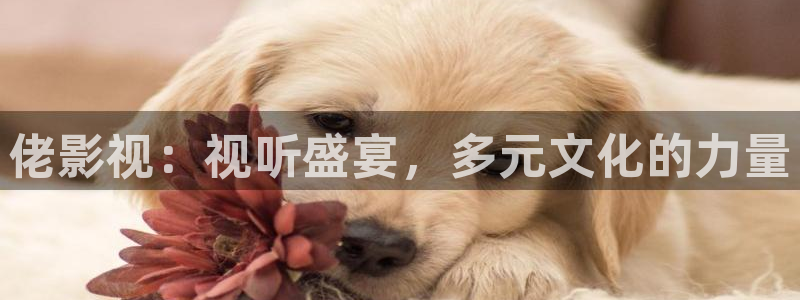 桔子图片