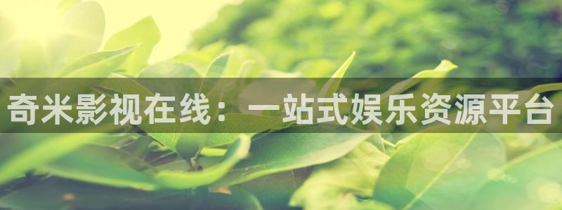 桔子电影网手机