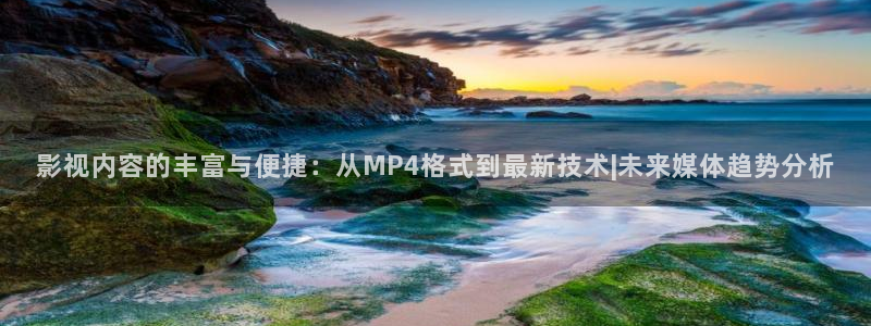 桔子电影网手机