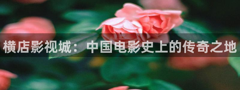 桔子影视剧大全免费观看