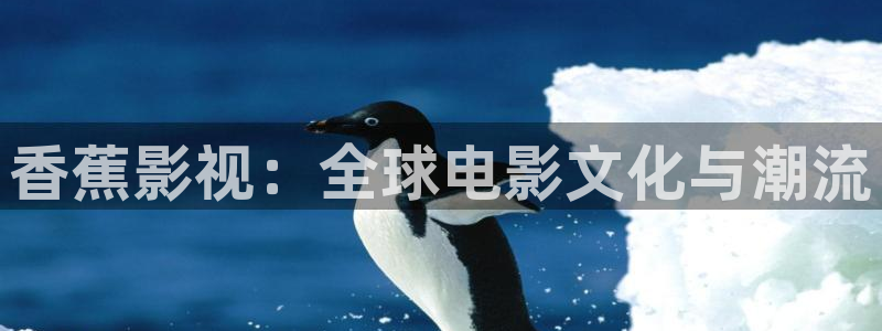 桔子app视视频在线