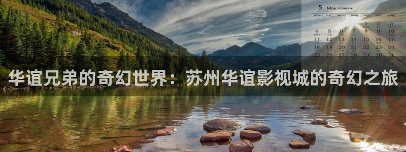 桔子视频播放