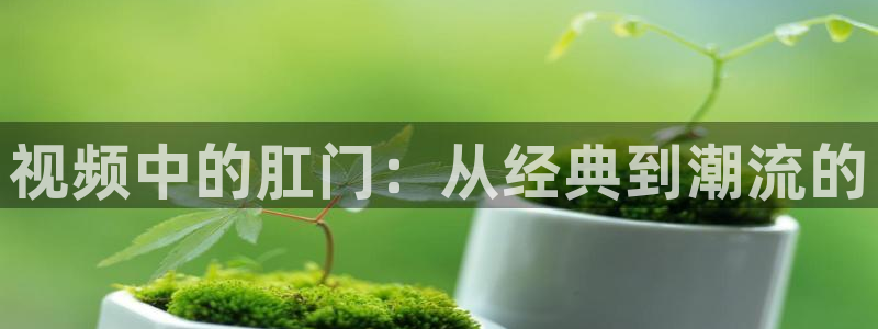 桔子树视频：视频中的肛门：从经典到潮流的