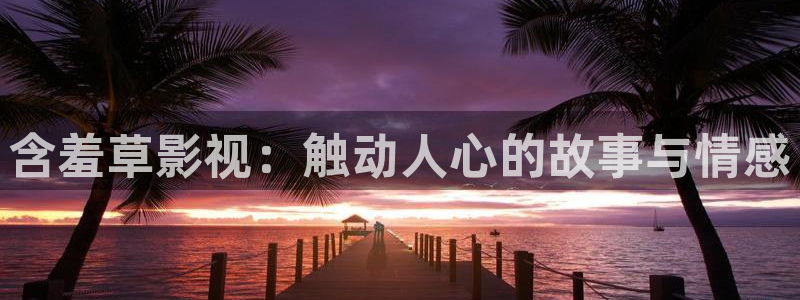 桔子影视官网