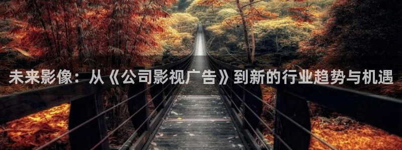 桔子图片大全大图